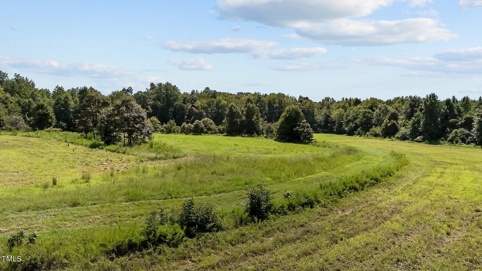 45-acres Hurdle Mills Road Roxboro, NC 27573 - Photo 2 of 25 18-web-or-mls-DJI_20240819120720_0676_D