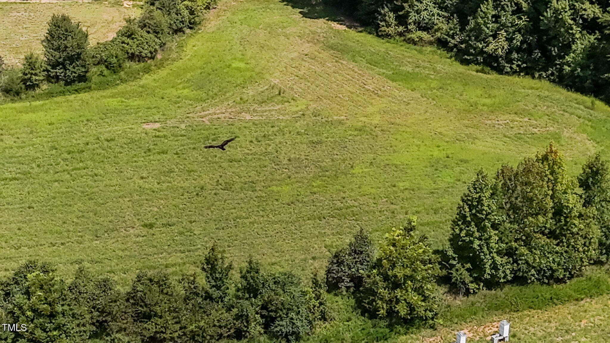 45-acres Hurdle Mills Road Roxboro, NC 27573 - Photo 22 of 25 19-web-or-mls-DJI_20240819120751_0677_D