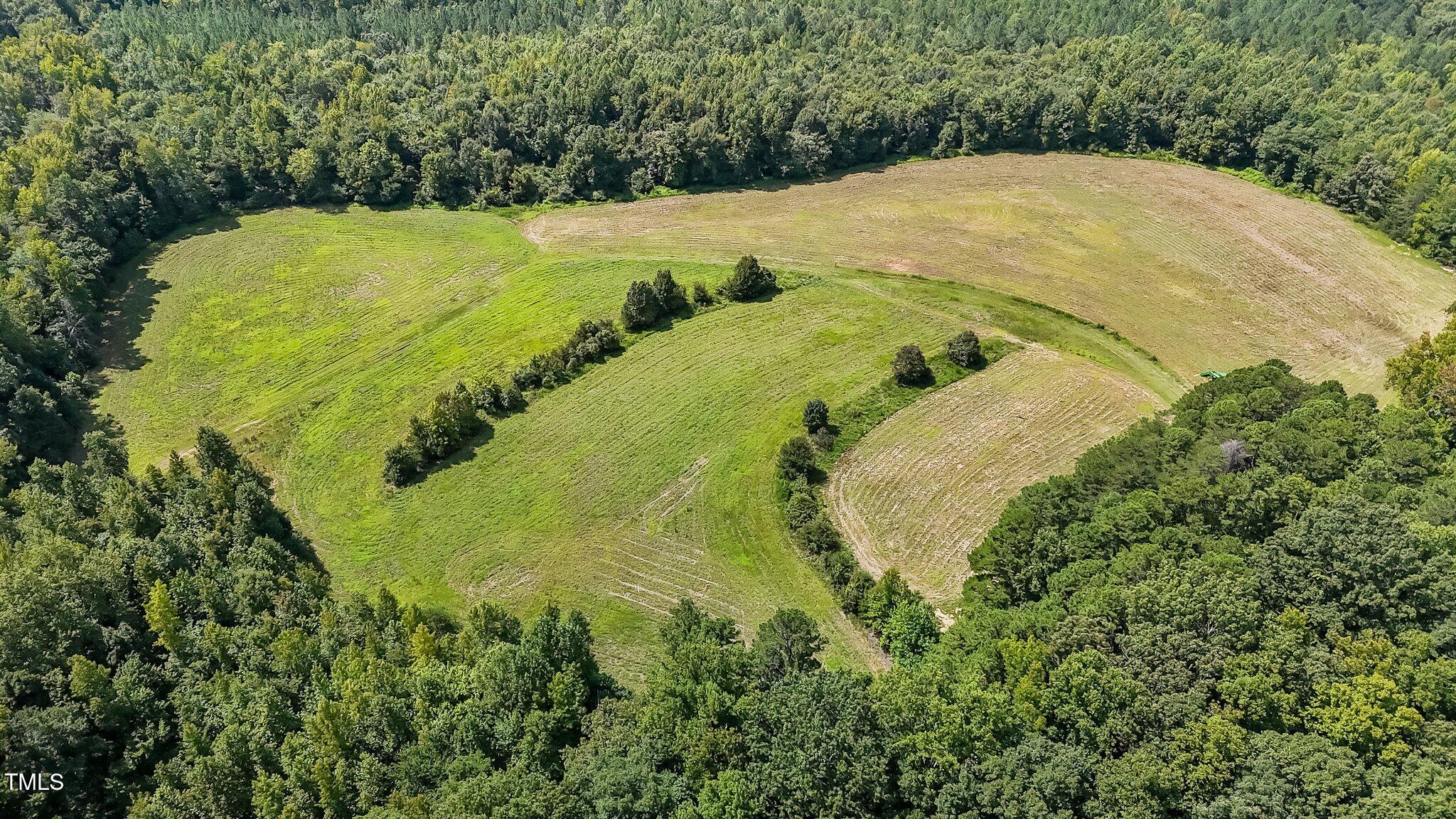 45-acres Hurdle Mills Road Roxboro, NC 27573 - Photo 23 of 25 20-web-or-mls-DJI_20240819120822_0678_D