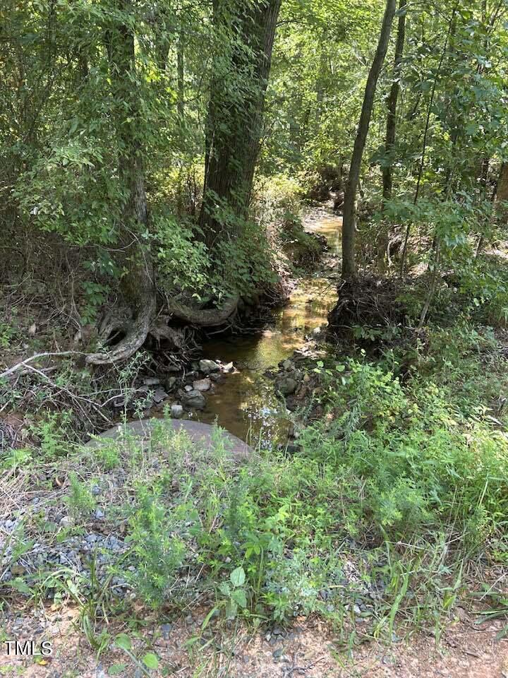 45-acres Hurdle Mills Road Roxboro, NC 27573 - Photo 24 of 25 456335113_2770835786427428_4901321412910