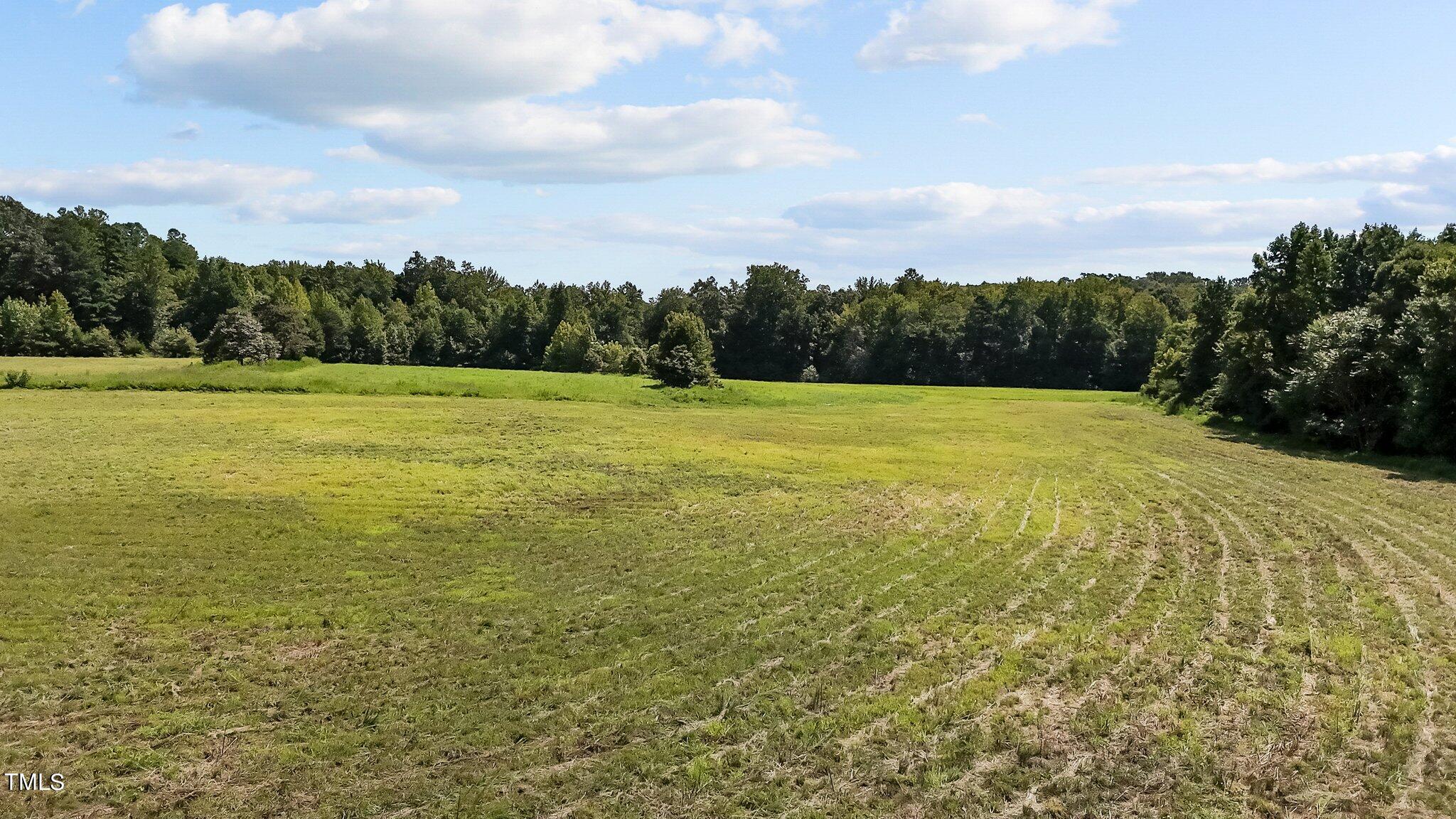 45-acres Hurdle Mills Road Roxboro, NC 27573 - Photo 3 of 25 17-web-or-mls-DJI_20240819120653_0675_D