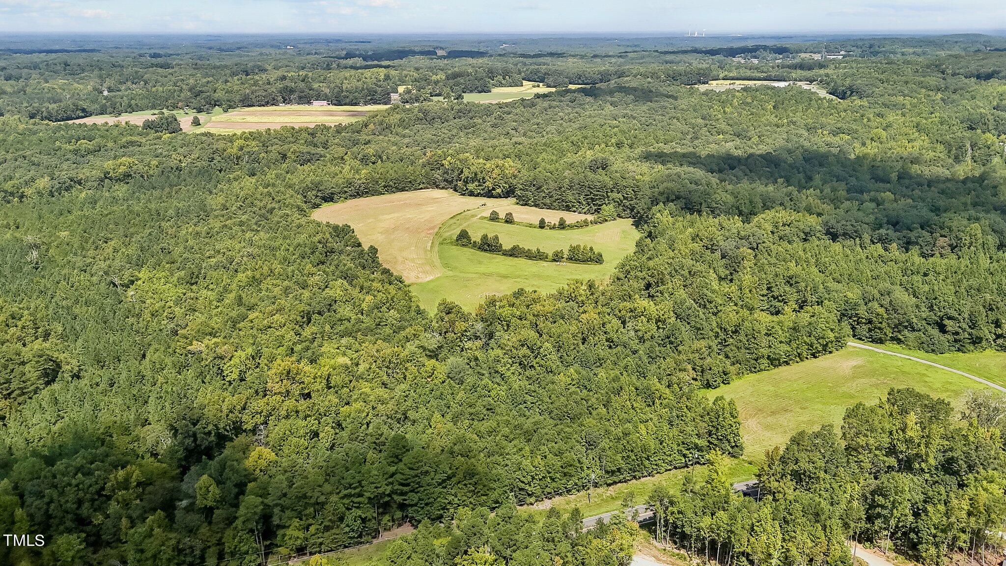 45-acres Hurdle Mills Road Roxboro, NC 27573 - Photo 6 of 25 0-web-or-mls-DJI_20240819115953_0657_D