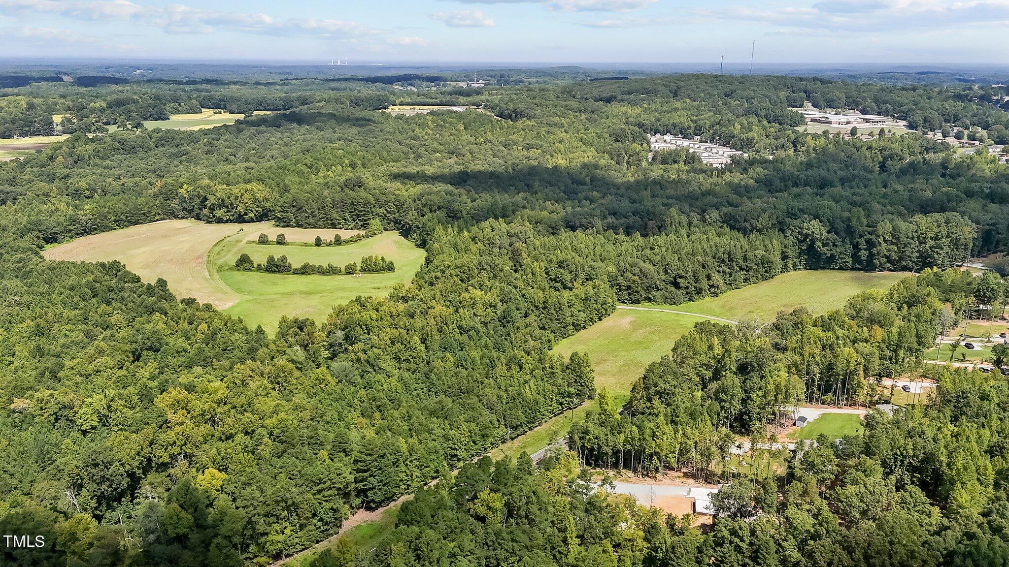 45-acres Hurdle Mills Road Roxboro, NC 27573 - Photo 7 of 25 1-web-or-mls-DJI_20240819120000_0658_D