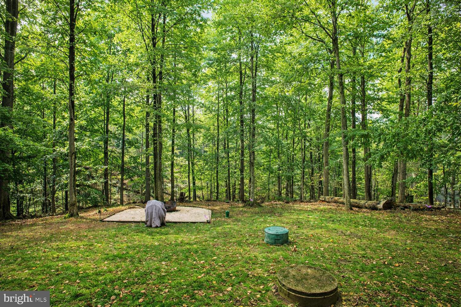 1505 Pinnacle Road Towson, MD 21286 - Photo 32 of 34 a backyard of a house with barbeque oven