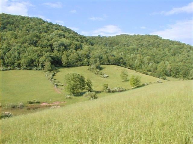 248 Somerset Farm Road Meadow Bridge, WV 25976 - Photo 65 of 98 Gallery Image 65