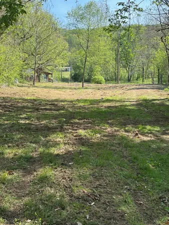 a view of a green field with clear sky