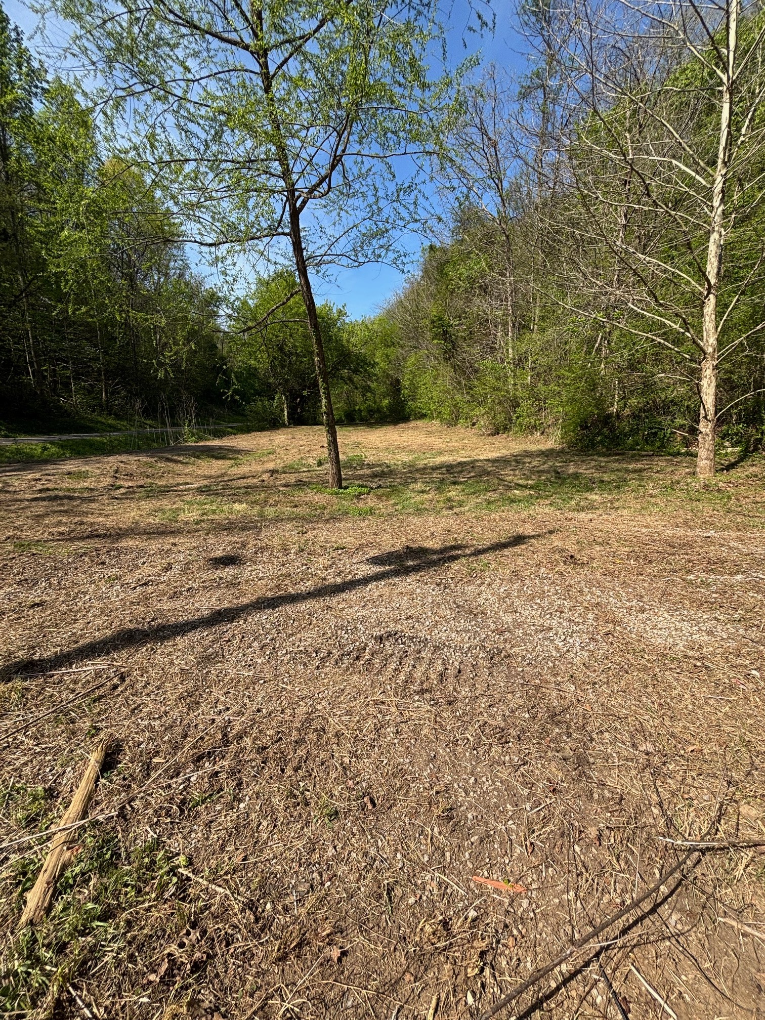 7792 Burns Road Christiana, TN 37037 - Photo 4 of 8