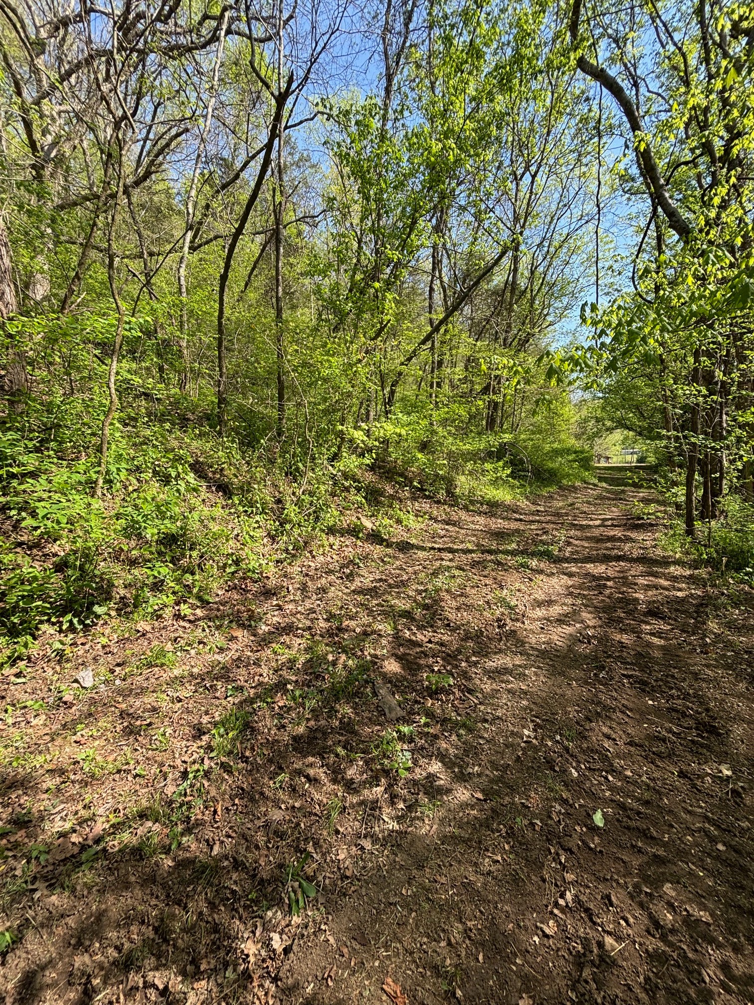 7792 Burns Road Christiana, TN 37037 - Photo 6 of 8