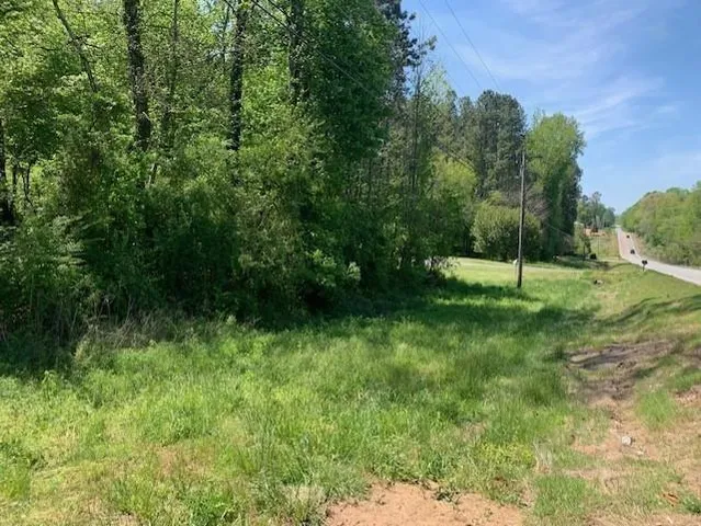 a view of outdoor space with a garden