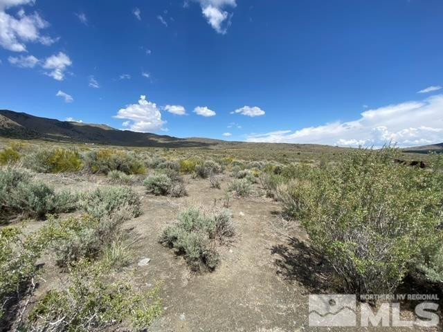 1220 Freds Mountain Road Reno, NV 89508 - Photo 4 of 4 a view of a yard of a house with a lake view