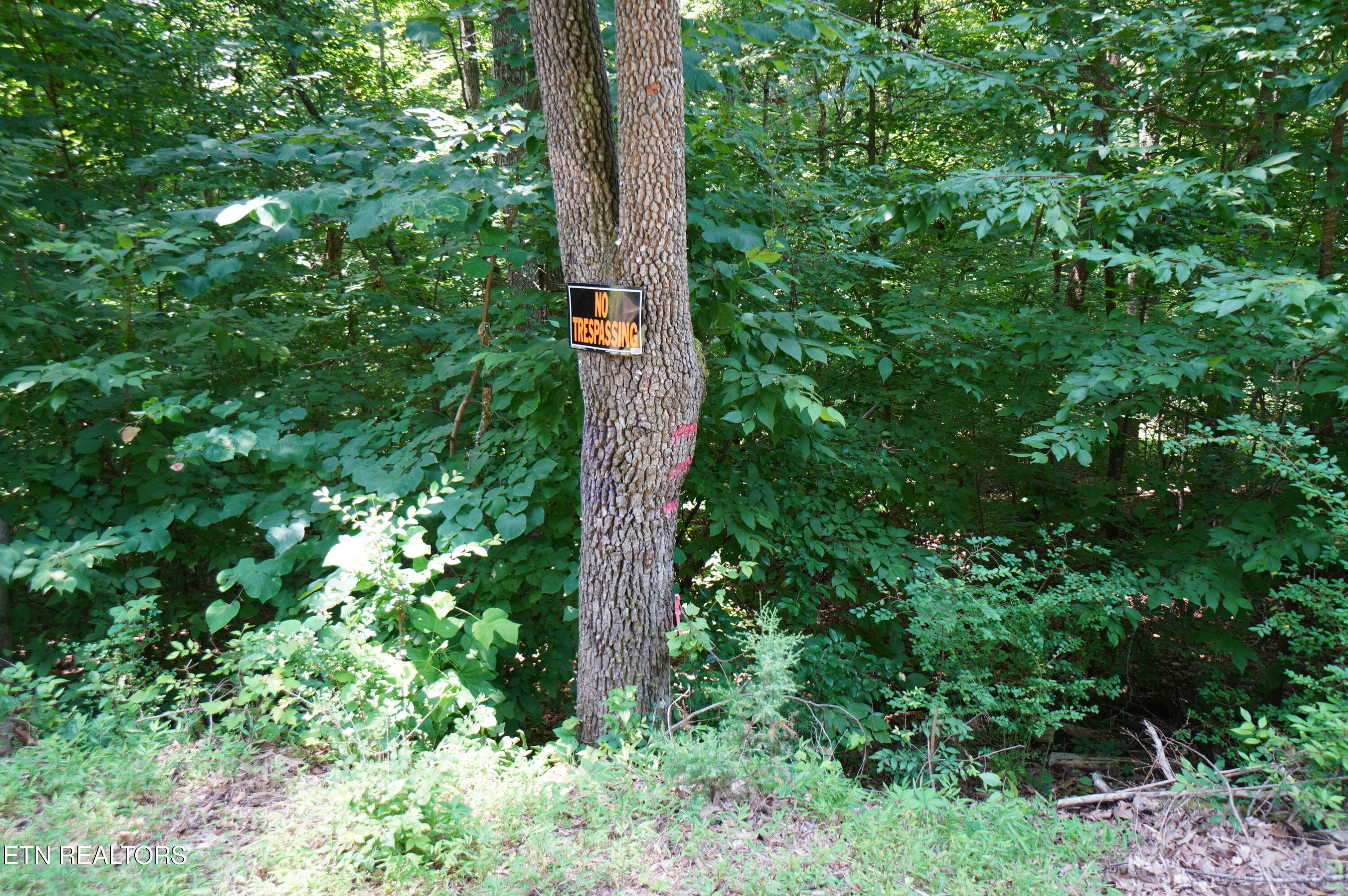 0 Rhyne Camp Road Newport, TN 37821 - Photo 17 of 19 camp rhyne rd (2)