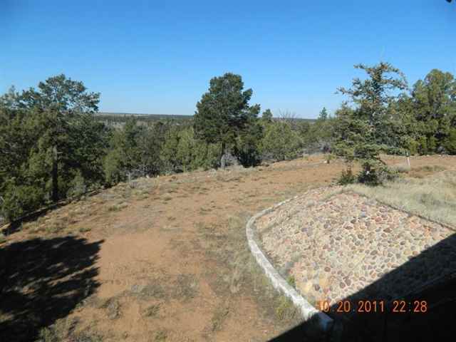 2212 Camperland Road Overgaard, AZ 85933 - Photo 23 of 36 Gallery Image 23