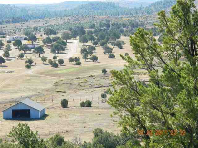 2212 Camperland Road Overgaard, AZ 85933 - Photo 24 of 36 Gallery Image 24