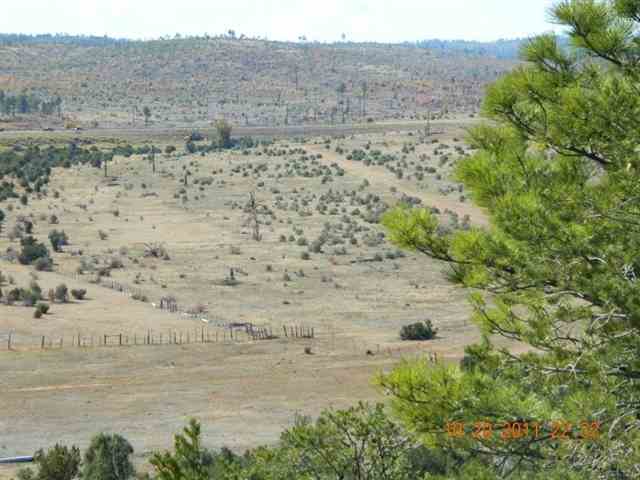 2212 Camperland Road Overgaard, AZ 85933 - Photo 25 of 36 Gallery Image 25