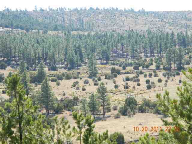 2212 Camperland Road Overgaard, AZ 85933 - Photo 26 of 36 Gallery Image 26