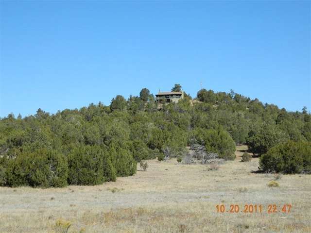 2212 Camperland Road Overgaard, AZ 85933 - Photo 27 of 36 Gallery Image 27