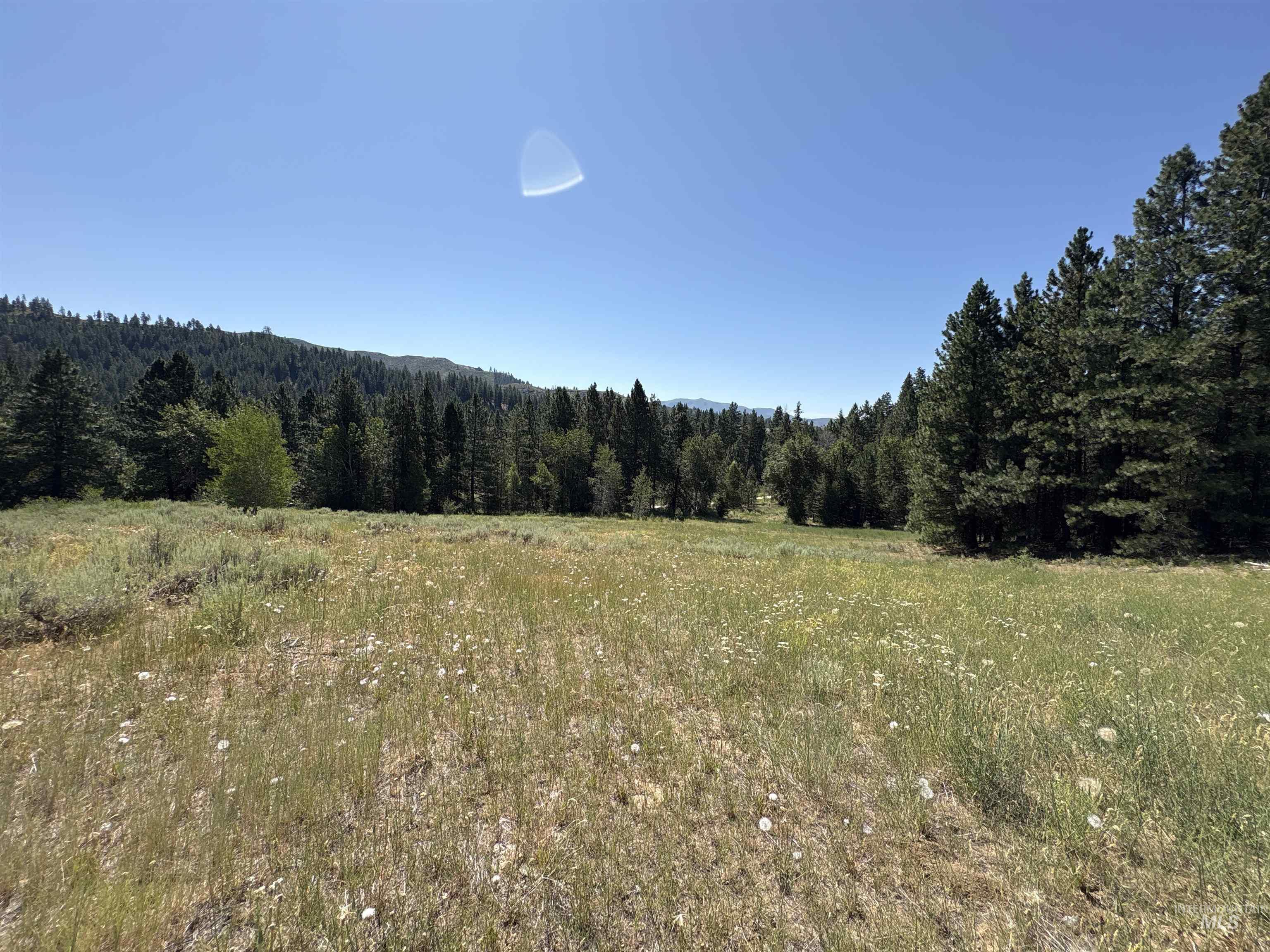 Tbd Smith Creek Road Mountain Home, ID 83647 - Photo 11 of 19