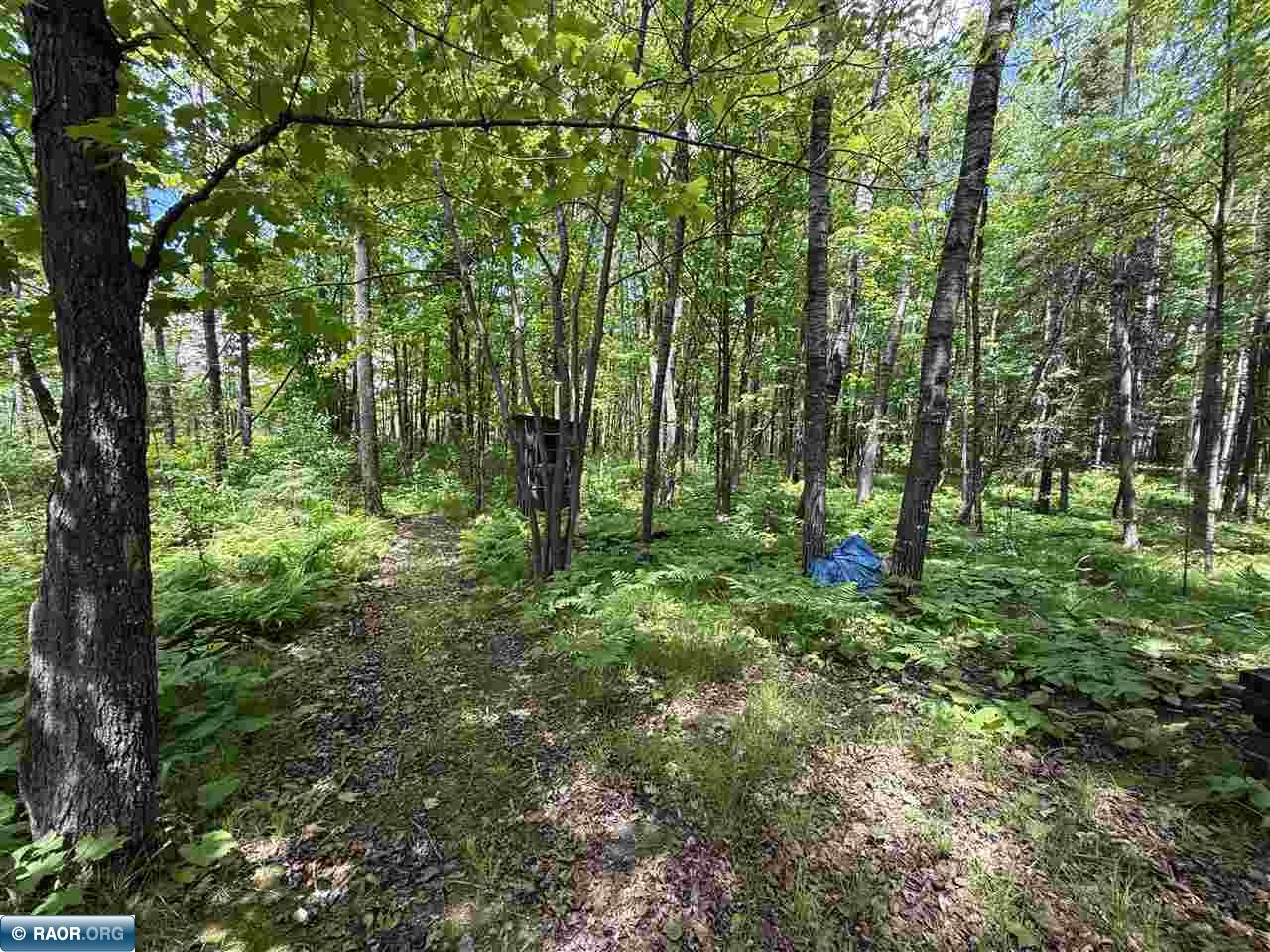 2647 Billings Road Hibbing, MN 55746 - Photo 31 of 37