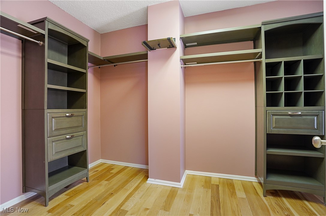 1094 San Raphael Drive Akron, OH 44333 - Photo 30 of 50 Walk in closet with light wood-style flooring