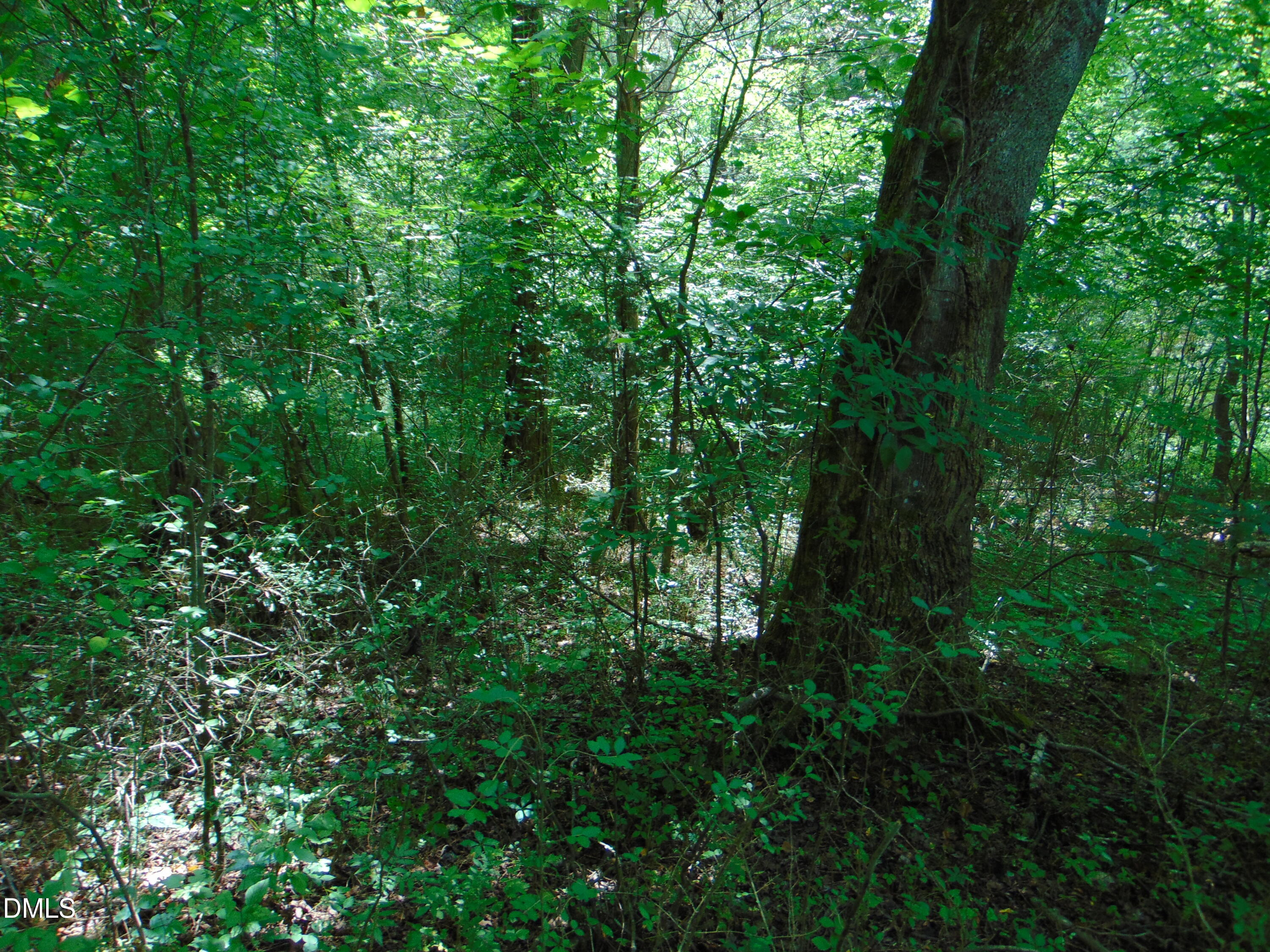 0 Big Woods Road Macon, NC 27551 - Photo 13 of 28