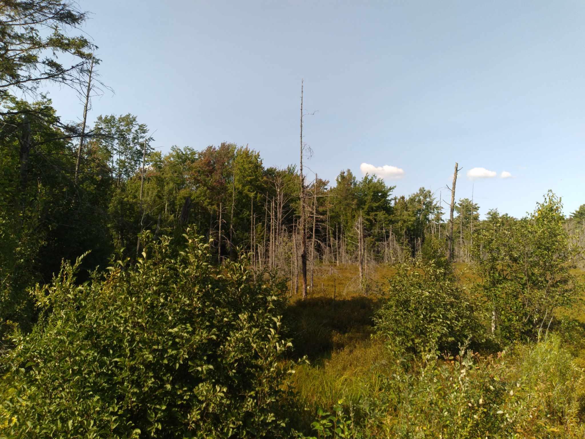 1 East Gogomain Road Pickford, MI 49774 - Photo 5 of 6 Gallery Image 5