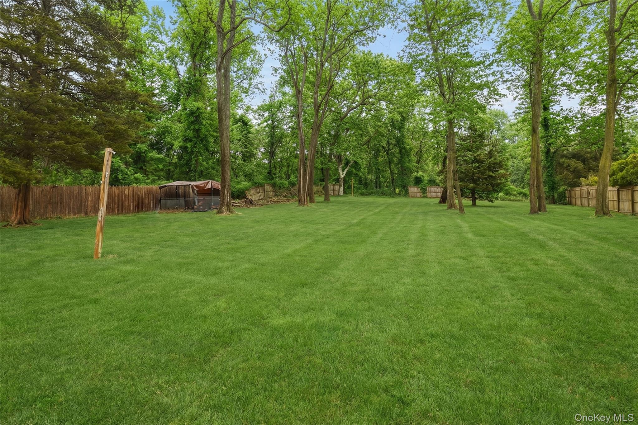 223 Bread And Cheese Hollow Road Northport, NY 11768 - Photo 30 of 32 a view of a park with a tree