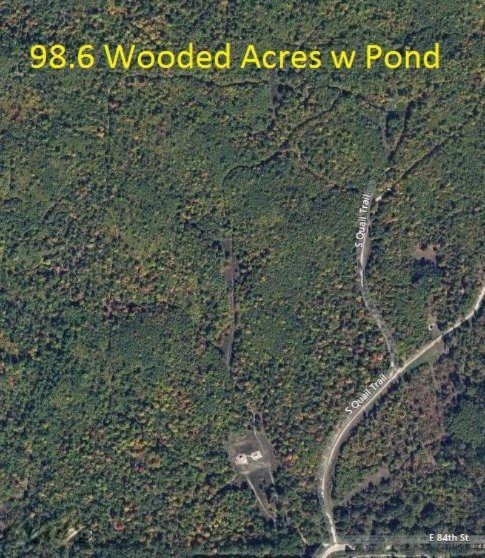 7598 East 84th Street Reed City, MI 49677 - Photo 12 of 12 bing aerial map