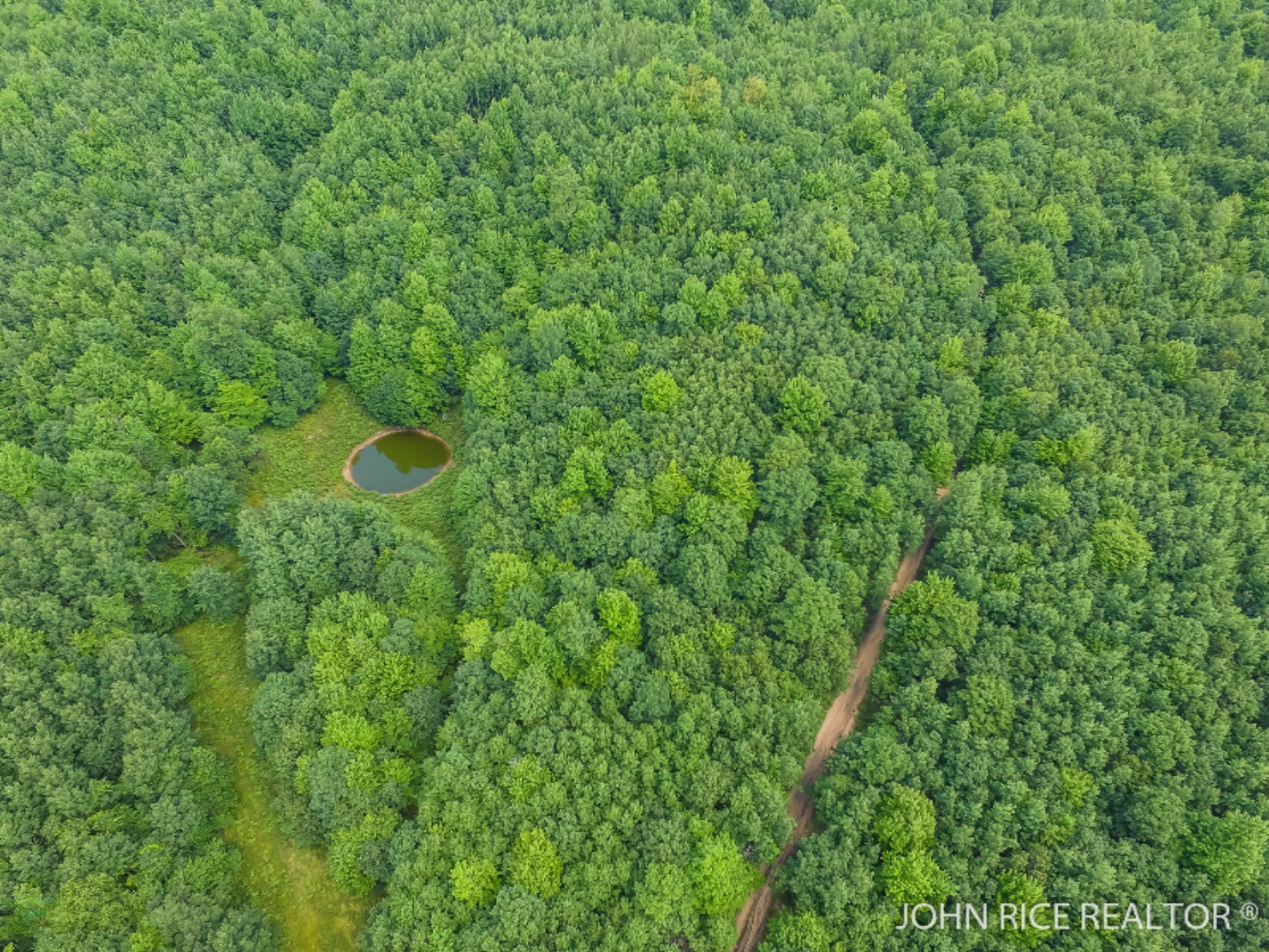 7598 East 84th Street Reed City, MI 49677 - Photo 5 of 12 DJI_0009