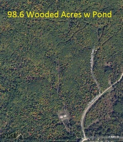 7598 East 84th Street Reed City, MI 49677 - Photo 8 of 12 bing aerial map