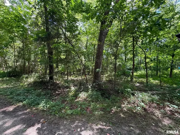 $5,000 | 0 Pump Sta Street, Carterville, IL 62918