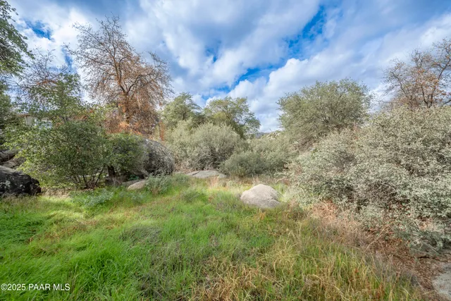 a view of a big yard with large trees