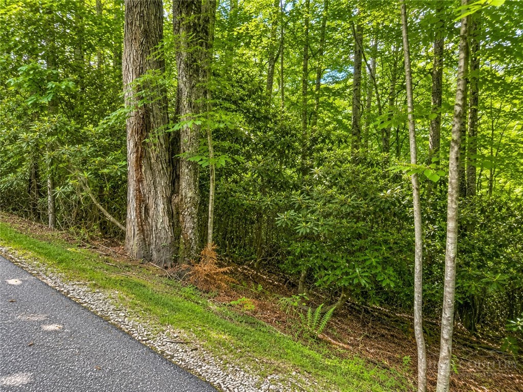 Walnut Road Boone, NC 28607 - Photo 2 of 5