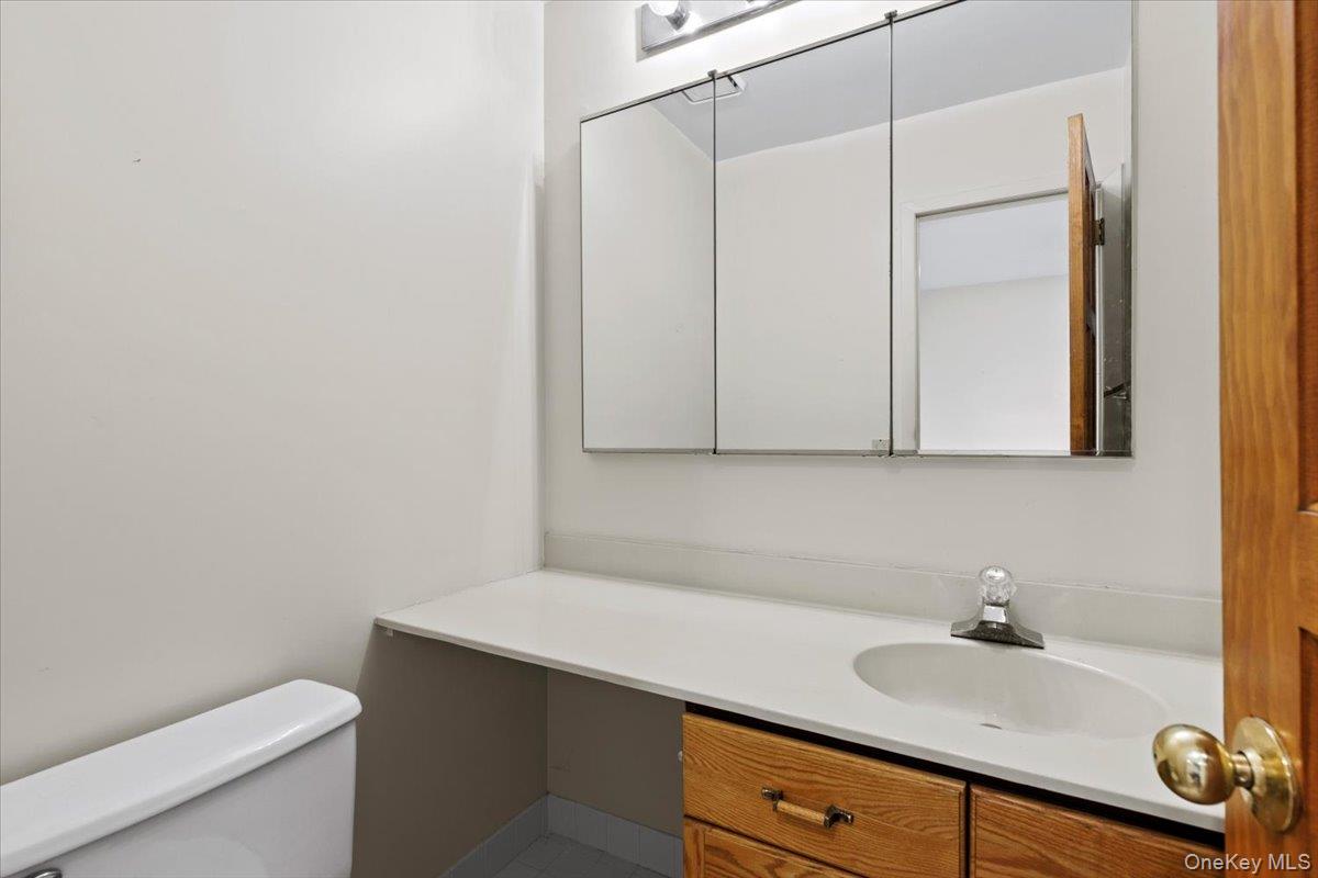 88 Farm Lake Cres Road Chappaqua, NY 10514 - Photo 4 of 22 a bathroom with a sink and a toilet