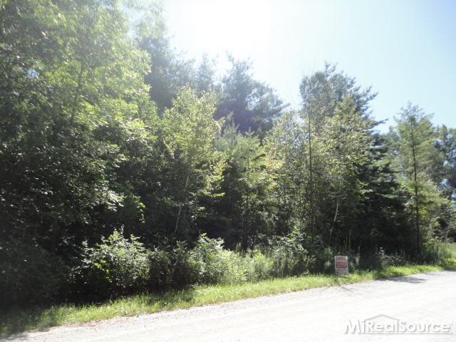 0 South Allen Road St. Clair, MI 48079 - Photo 1 of 3