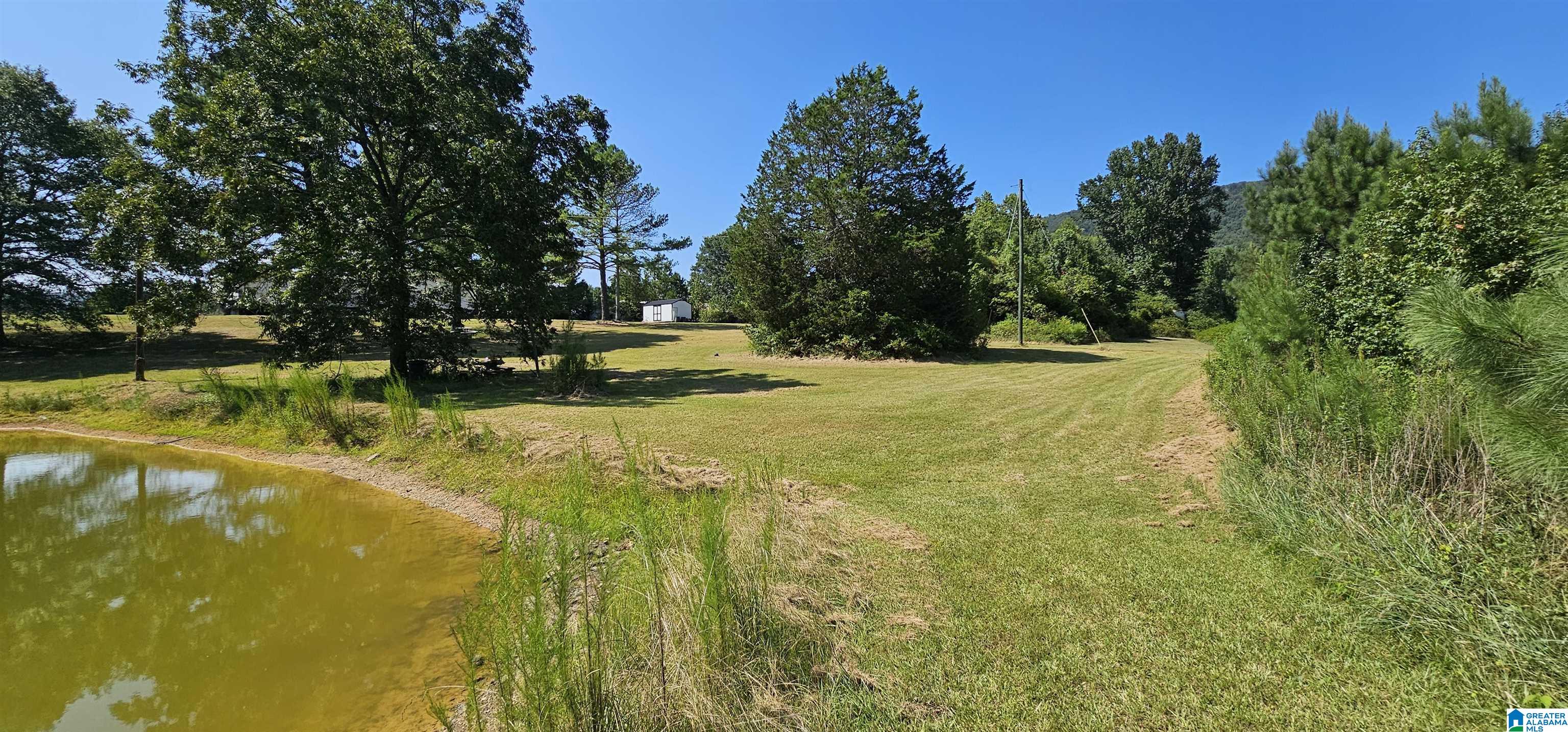 1218 Beason Cove Road Steele, AL 35987 - Photo 2 of 20