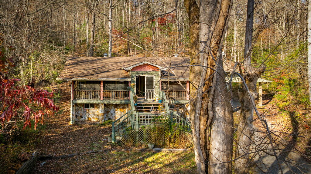1.5 Bullen Gap Road Blue Ridge, GA 30513 - Photo 5 of 63 Gallery Image 5