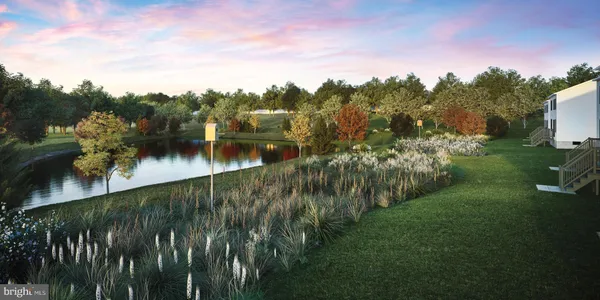 a view of a lake from a yard