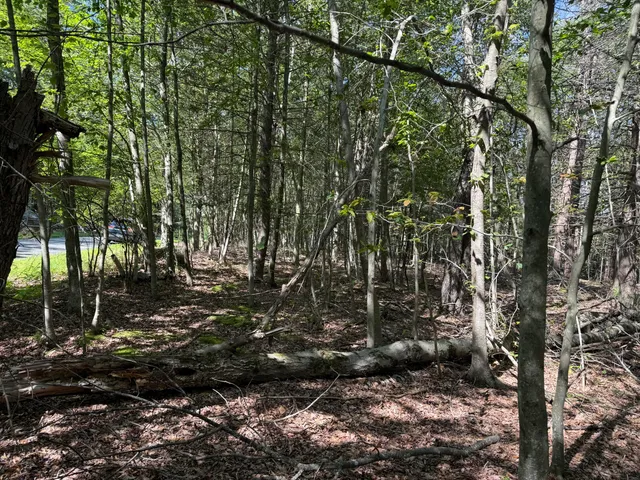 a view of outdoor space and yard