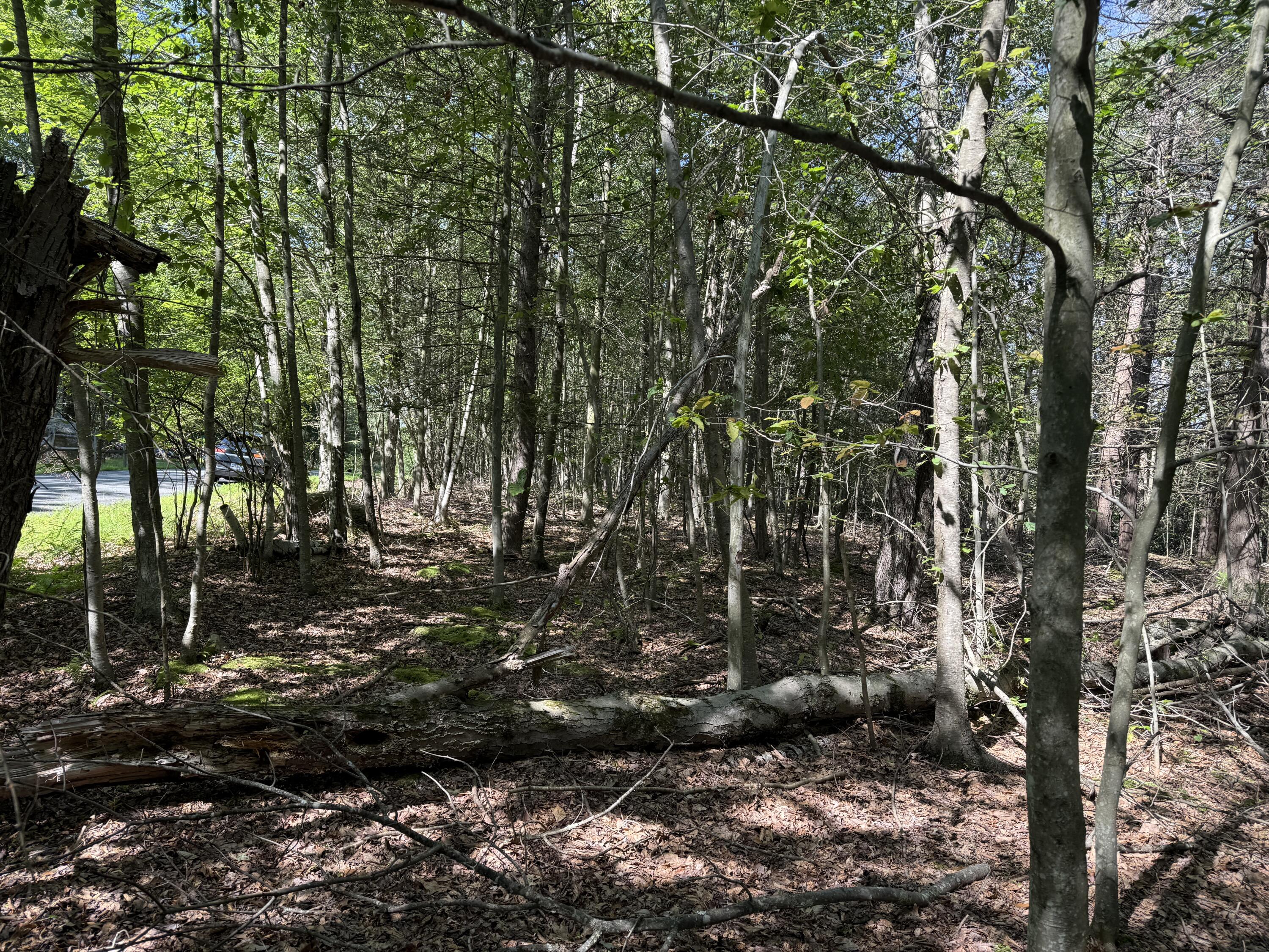 Fawn Road Hawley, PA 18428 - Photo 4 of 5 a view of outdoor space and yard