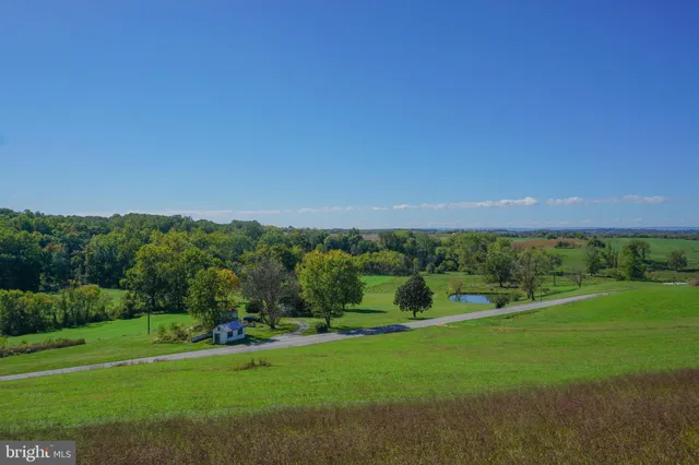 a view of a grassy field with trees in the background