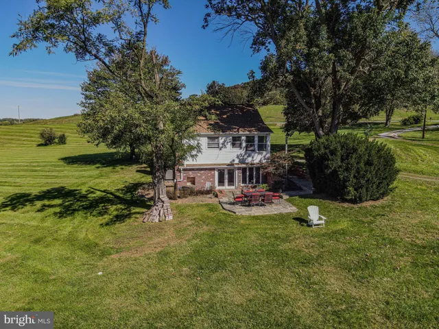 a view of a grassy field with an trees