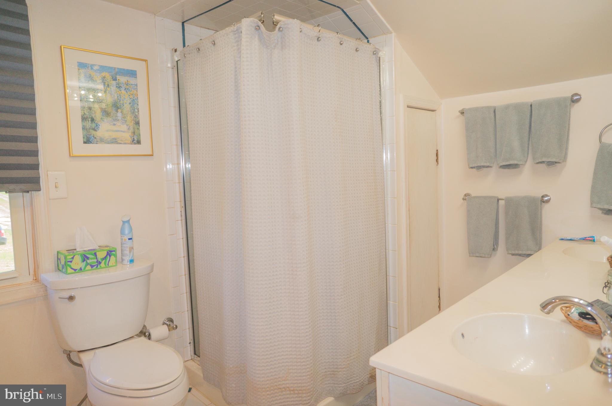 4205 Sams Creek Road New Windsor, MD 21776 - Photo 55 of 103 a white toilet sitting next to a bathroom sink