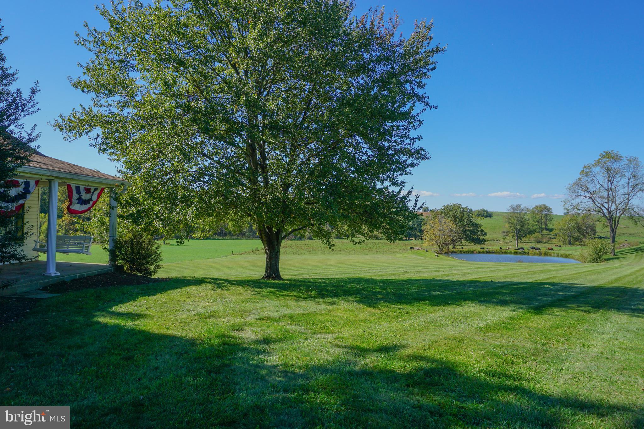 4205 Sams Creek Road New Windsor, MD 21776 - Photo 65 of 103 a view of a trees in a yard
