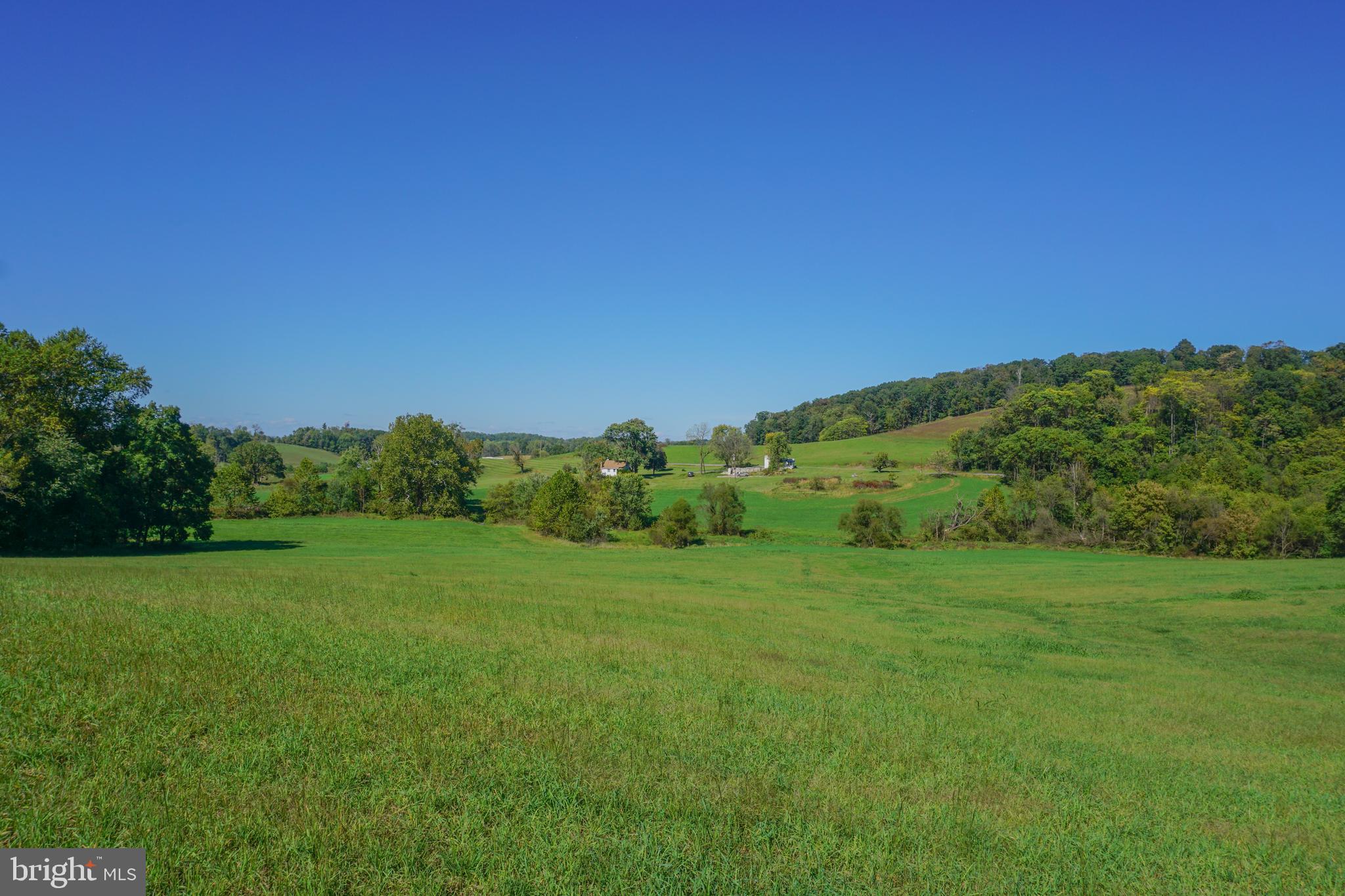 4205 Sams Creek Road New Windsor, MD 21776 - Photo 84 of 103 a view of a grassy field with trees in the background
