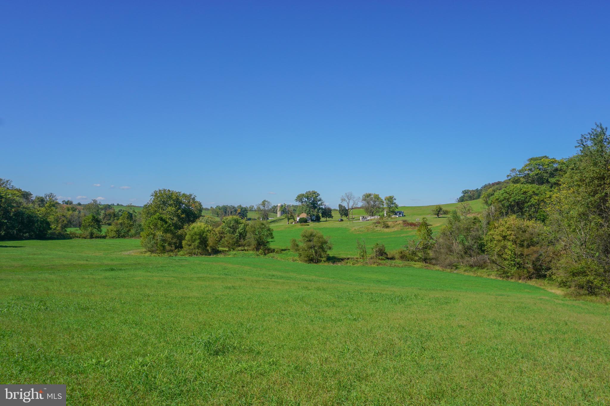 4205 Sams Creek Road New Windsor, MD 21776 - Photo 88 of 103 a view of a grassy field with trees