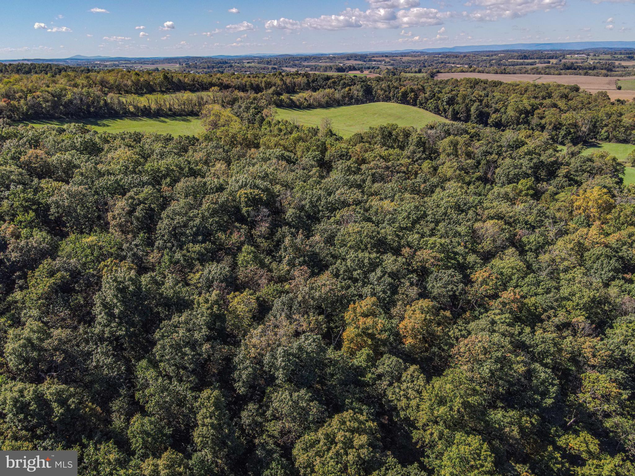 4205 Sams Creek Road New Windsor, MD 21776 - Photo 100 of 103