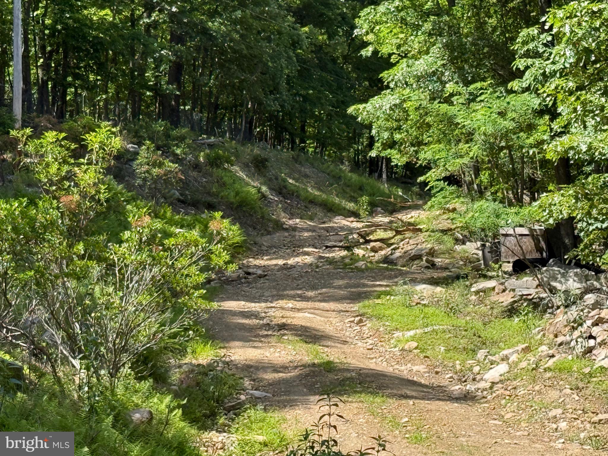 Roberts Road Great Cacapon, WV 25422 - Photo 3 of 4
