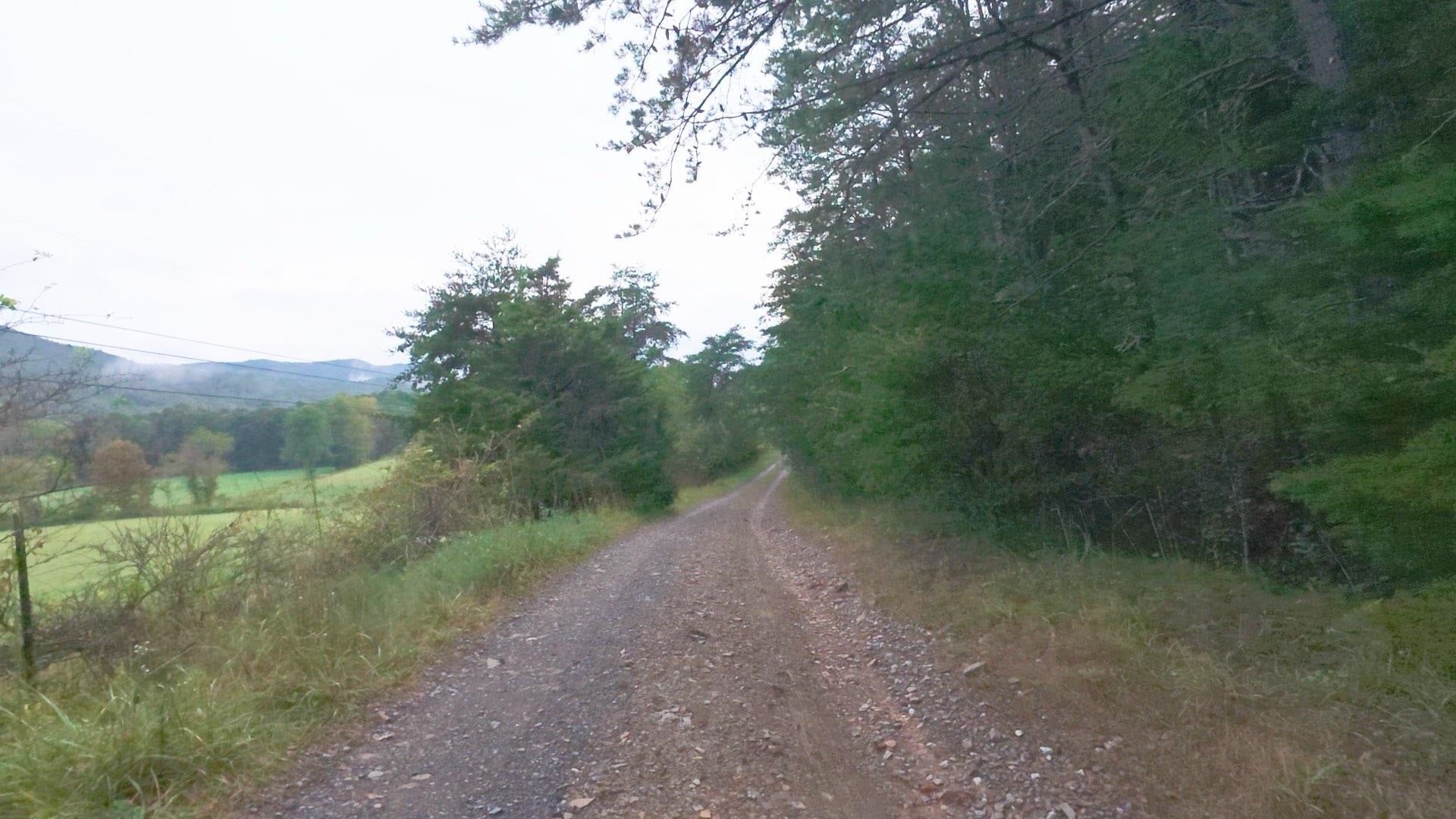 Tbd Short Ridge Drive Bland, VA 24315 - Photo 25 of 125 Gallery Image 25