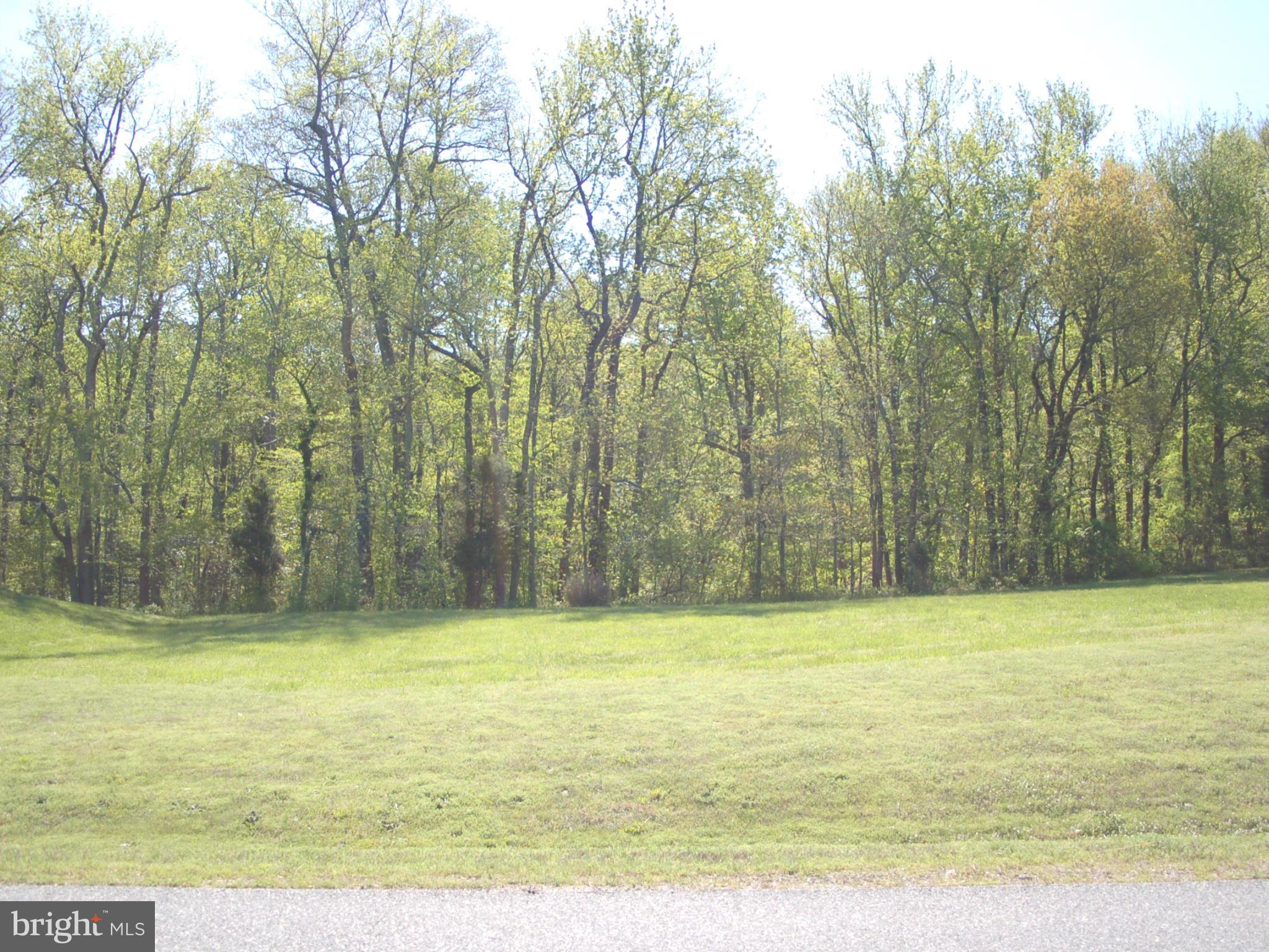 58 Marineview Road King George, VA 22485 - Photo 1 of 17 a view of a tennis court with trees in the background