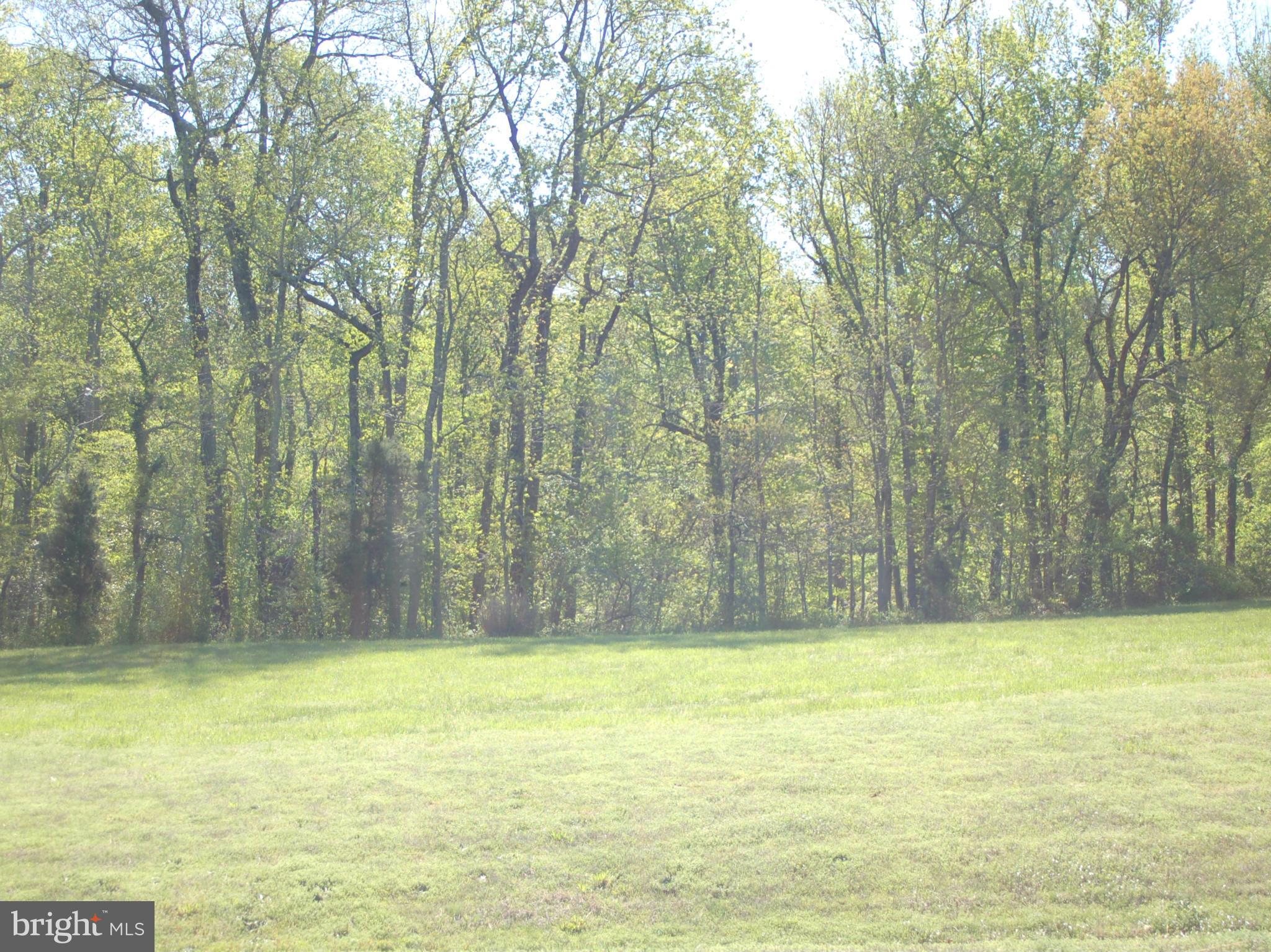58 Marineview Road King George, VA 22485 - Photo 2 of 17 a view of swimming pool and a yard
